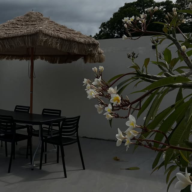 Post by lisettebarrera