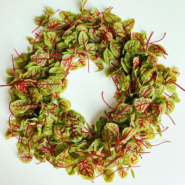 Post by brickstreetfarms