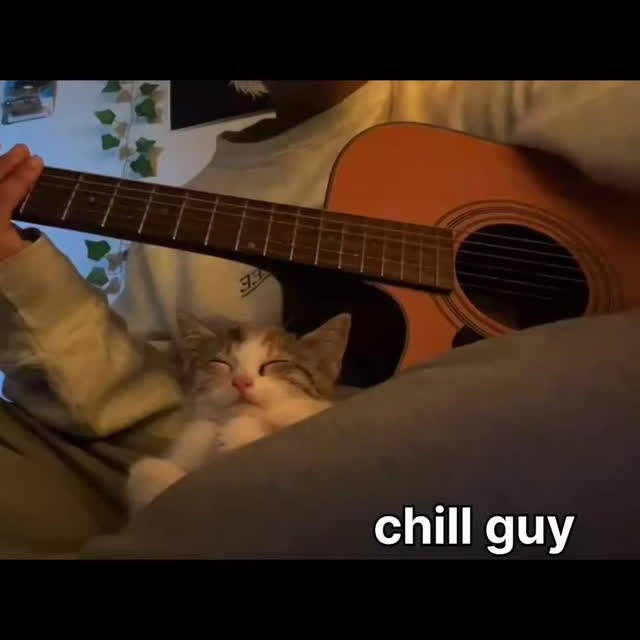 Post by meowees6