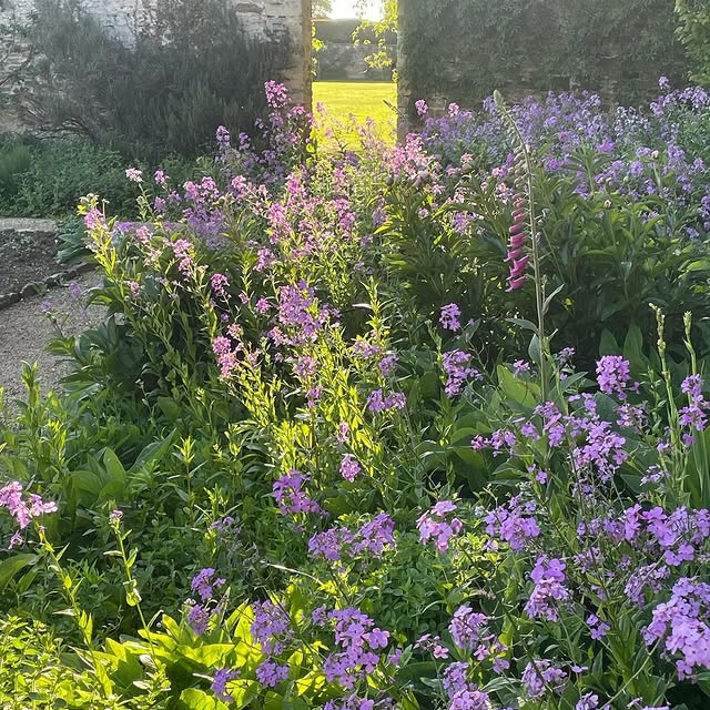 Post by roushamgardens