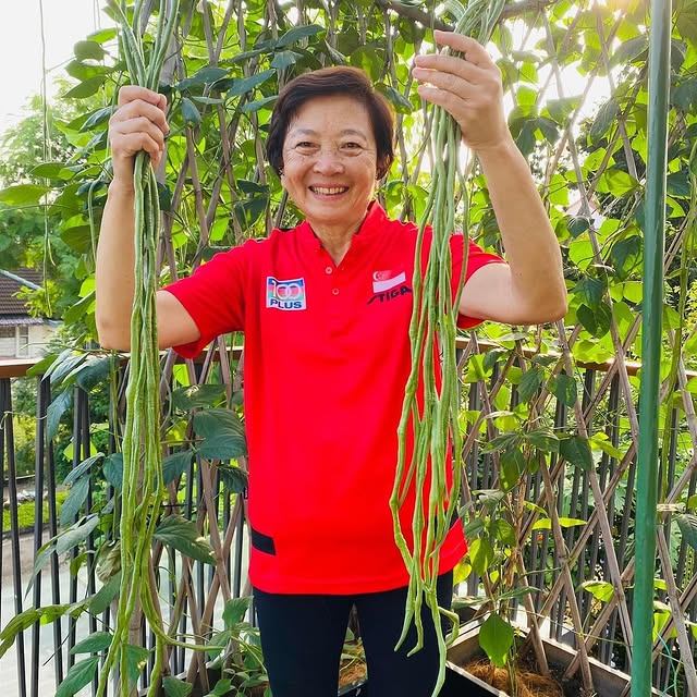 Post by leebeewah_huajie