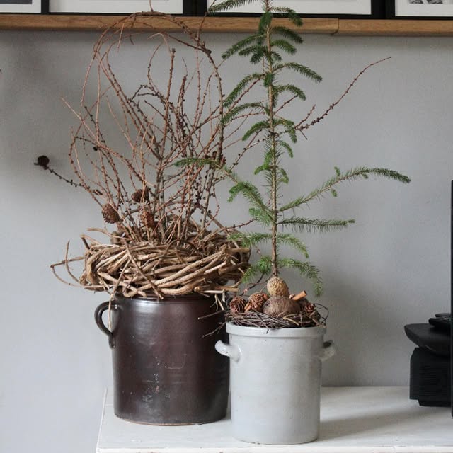 Post by meine_landleben_bilder_