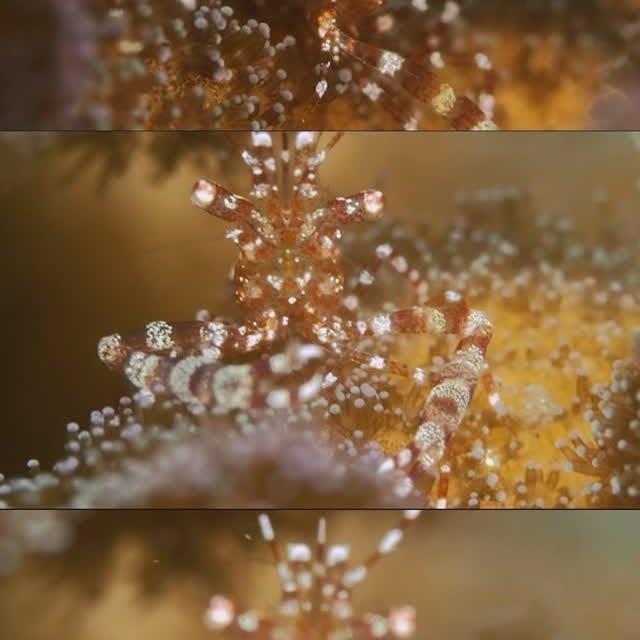 Post by critter.hunter