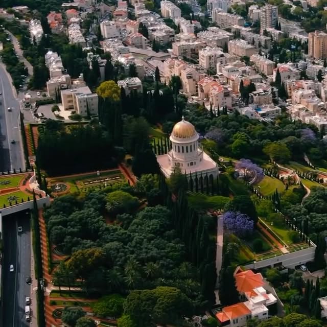 Post by mohamedhadid