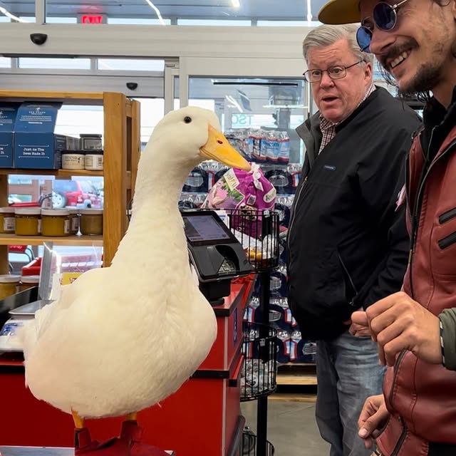 Post by justinwoodcircus