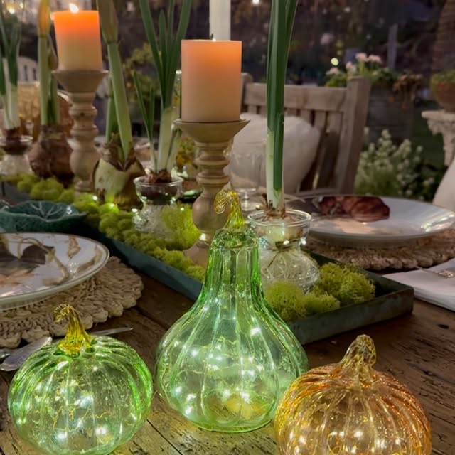 Post by rootedinthyme