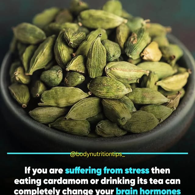Post by bodynutritiontips_