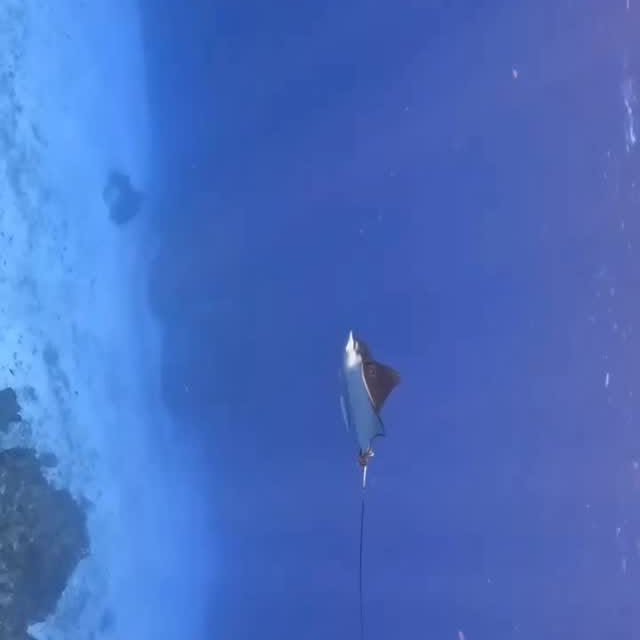 Post by brett_hoelzer