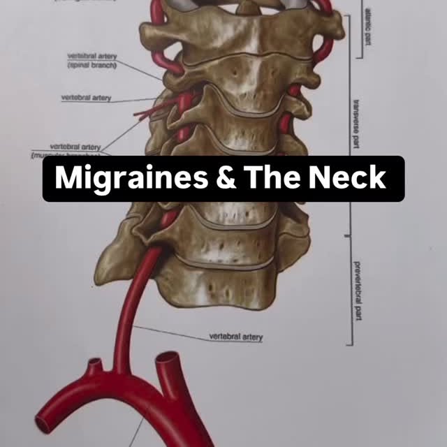 Post by medicalmassagesd