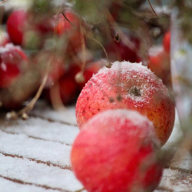 Post by meine_landleben_bilder_