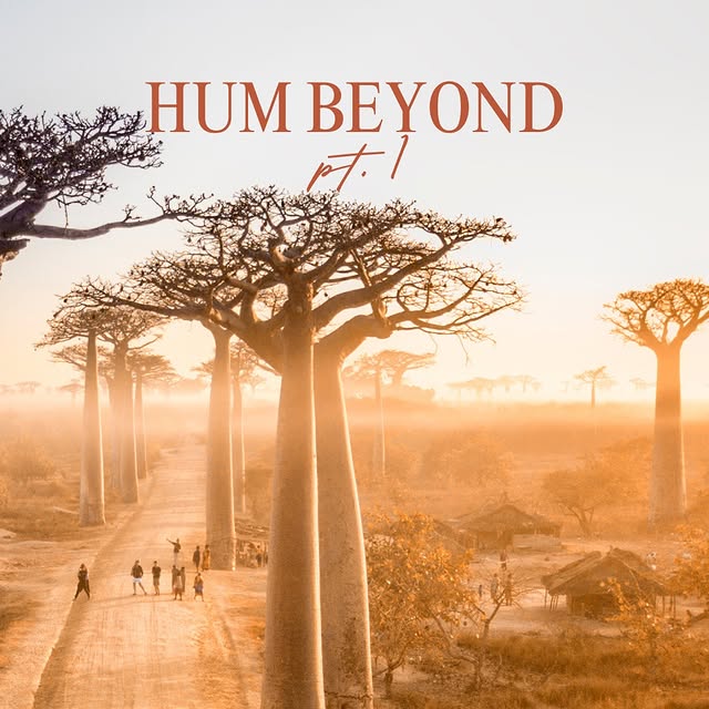 Post by hummingbirdtravel