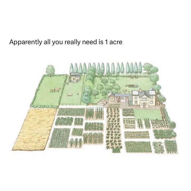 Post by thegoodgarden.co