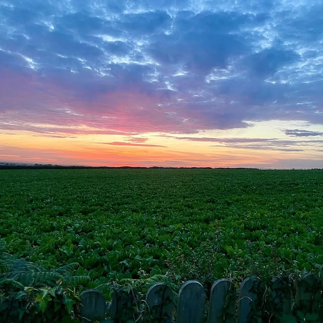 Post by ruth_willmott_associates