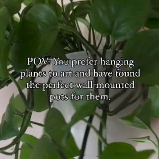 Post by gardenaddicts