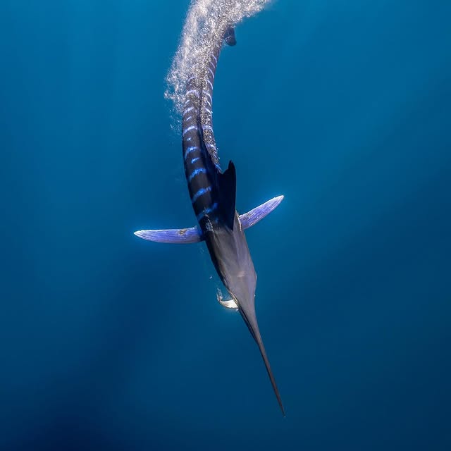 Post by jferraragallery