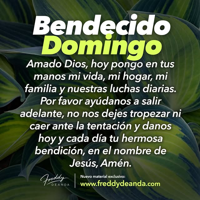 Post by freddydeanda