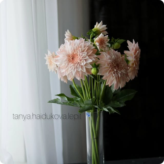 Post by tanya.haidukova.lepit