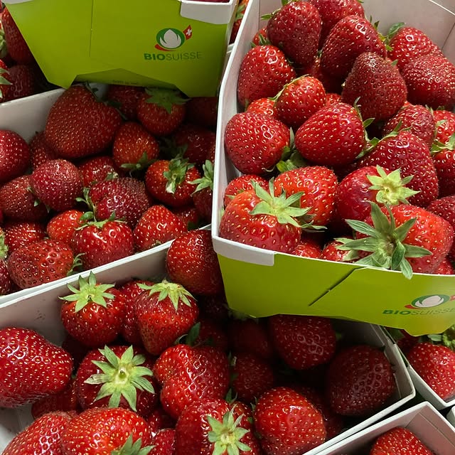 Post by birdys_brunnen