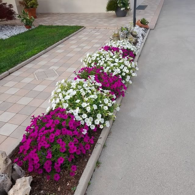 Post by my_flower_blog