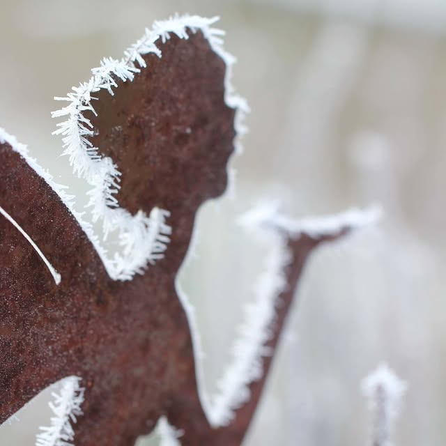 Post by tashas_garten