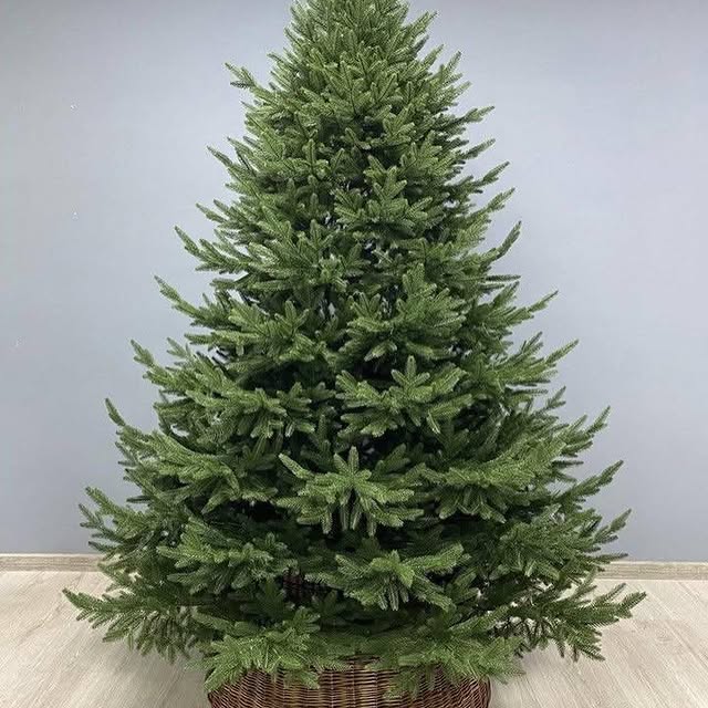 Post by my_flower_blog