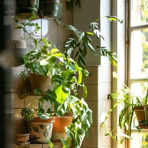 Post by plant_lovers4