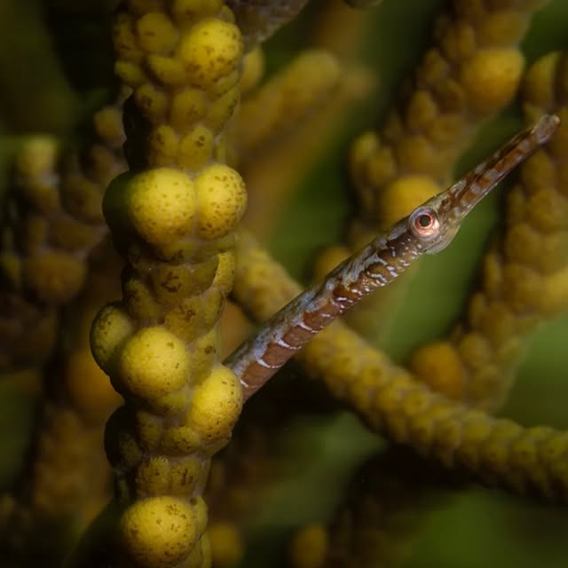 Post by huntingforparadise