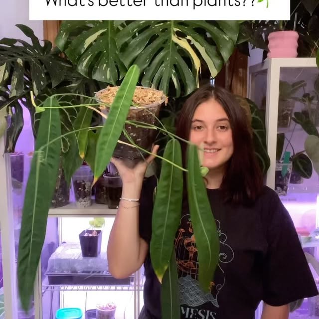 Post by kellylynn.plants