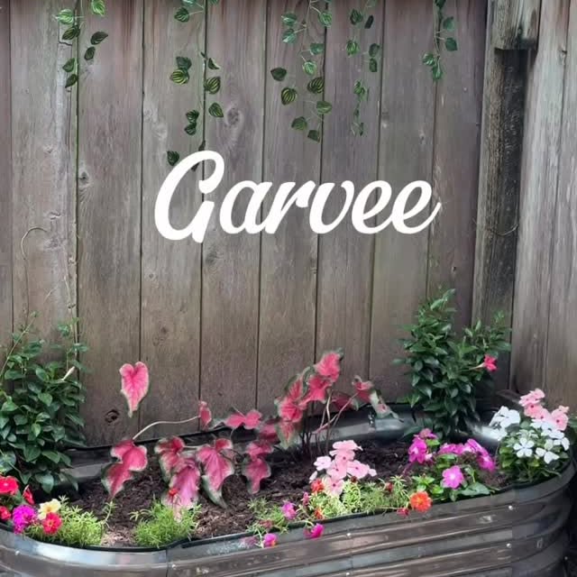 Post by theamercianlife