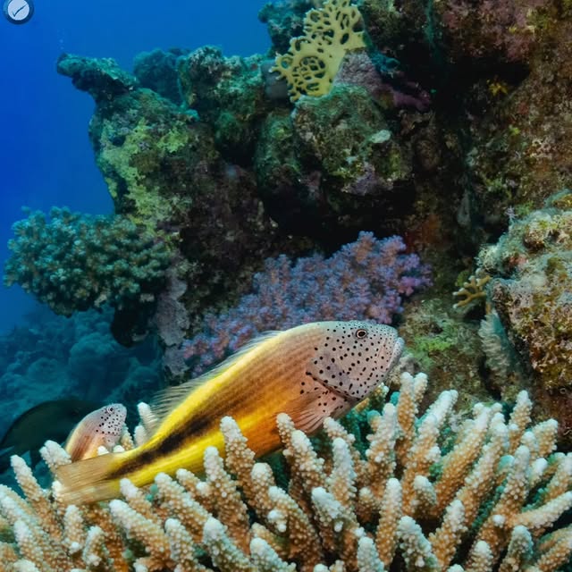 Post by underthesea_perfection