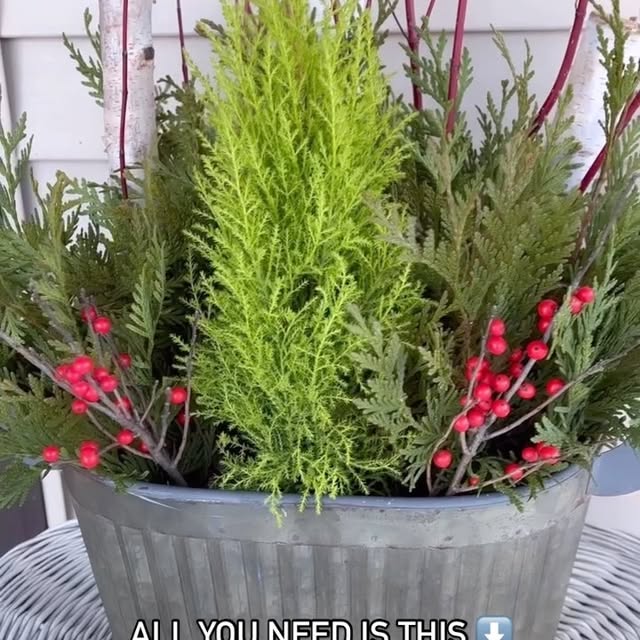 Post by greatgardenplants