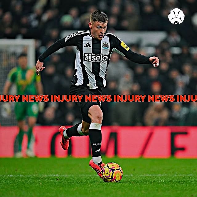 Post by themagpiechannel