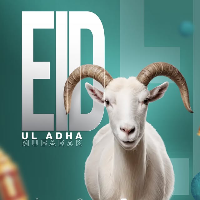 Post by seputihsalju.official