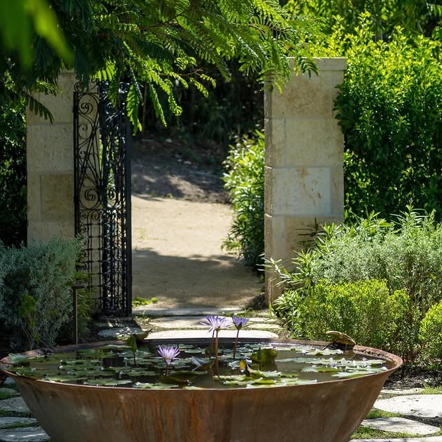 Post by edenrowegardens