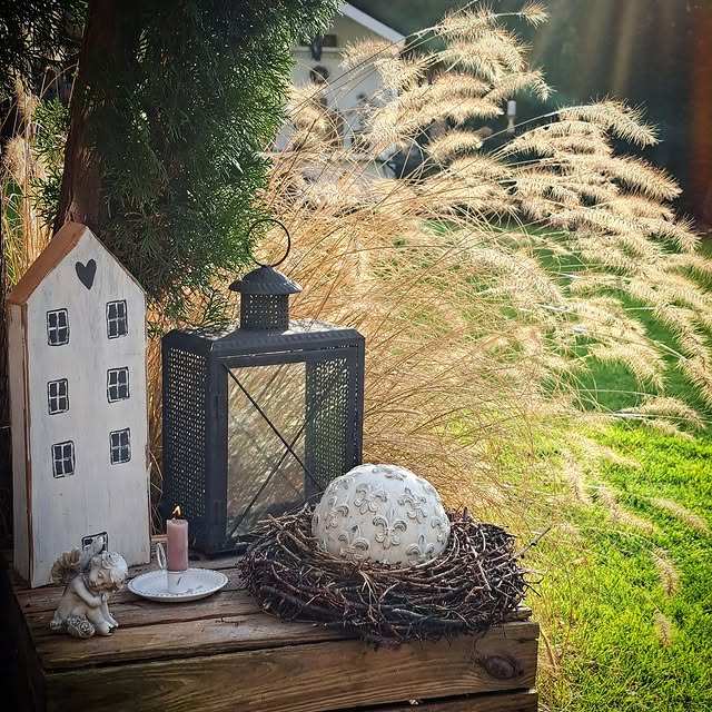 Post by home_gardendream