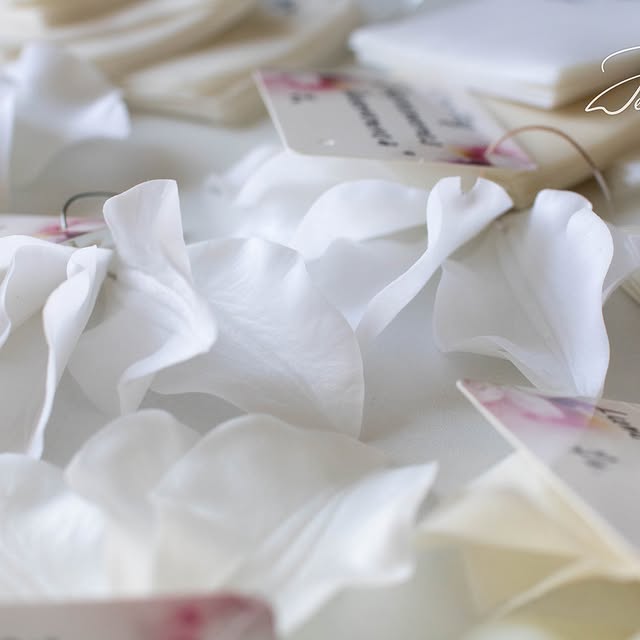 Post by natalia_jelonkina