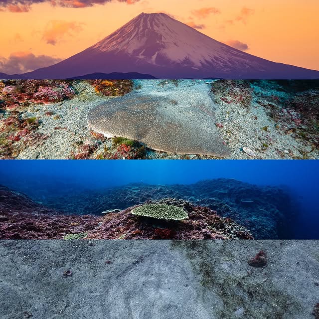 Post by wildkirinphotography