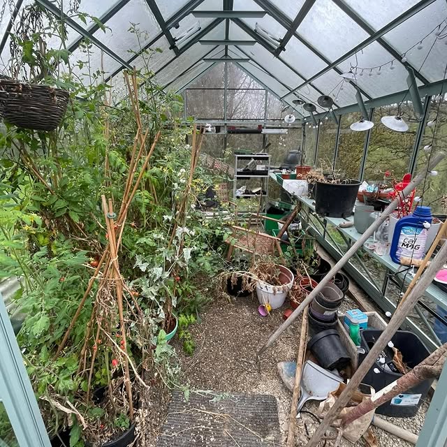 Post by rhinogreenhouses