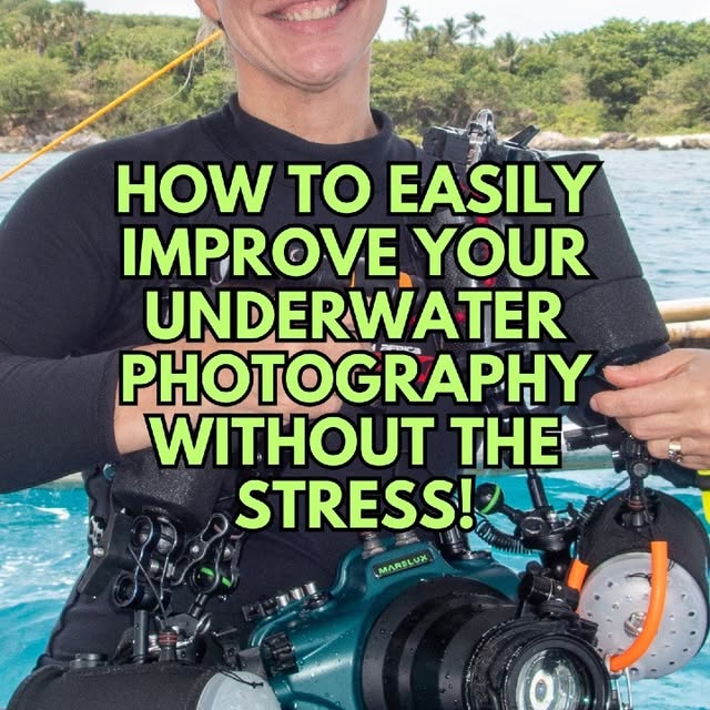 Post by katejonkerphotography