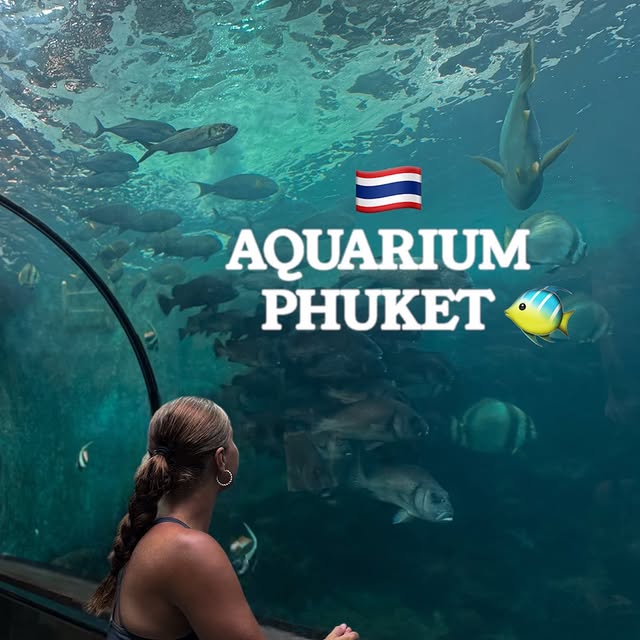 Post by hanka_gelnarova