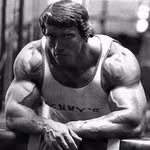 FITNESS - GYM - WORKOUTS's profile picture