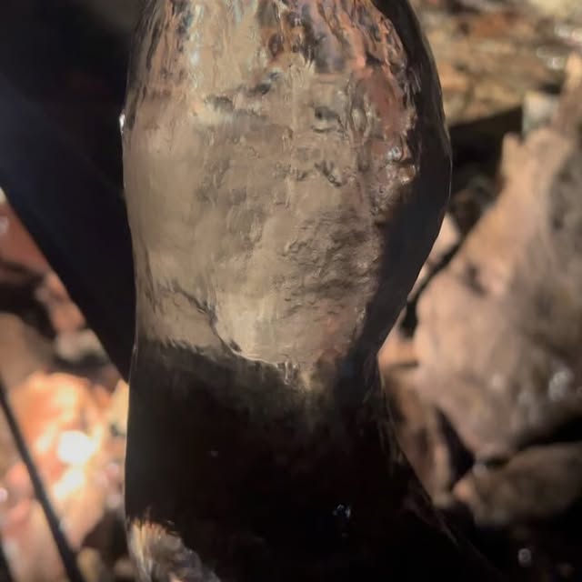 Post by thatdanielwu