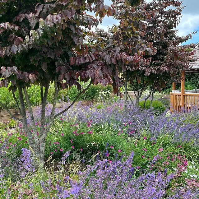 Post by rainegardendesign