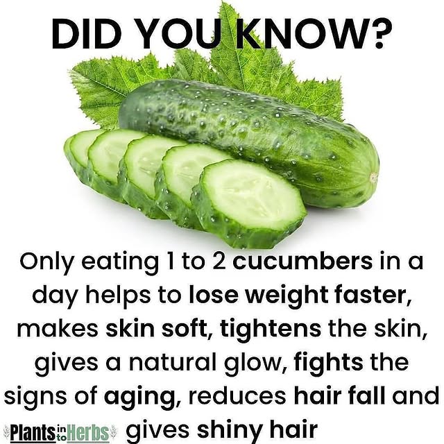 Post by plantsintoherbs