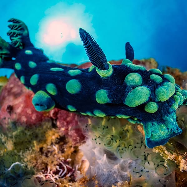 Post by alexmustard1