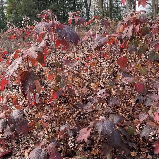 Post by mtcubacenter