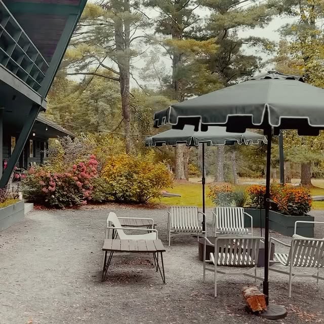 Post by thewoodhouselodge