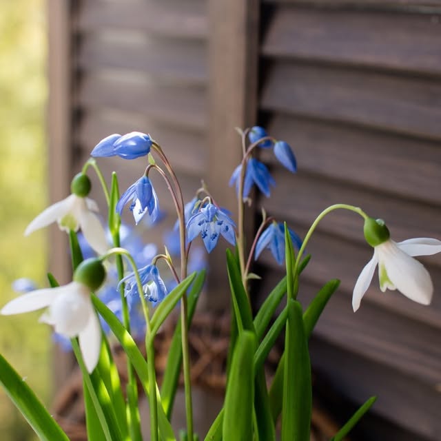 Post by natalia_jelonkina