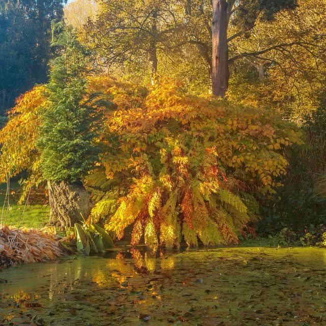 Post by jeremy.n.allen