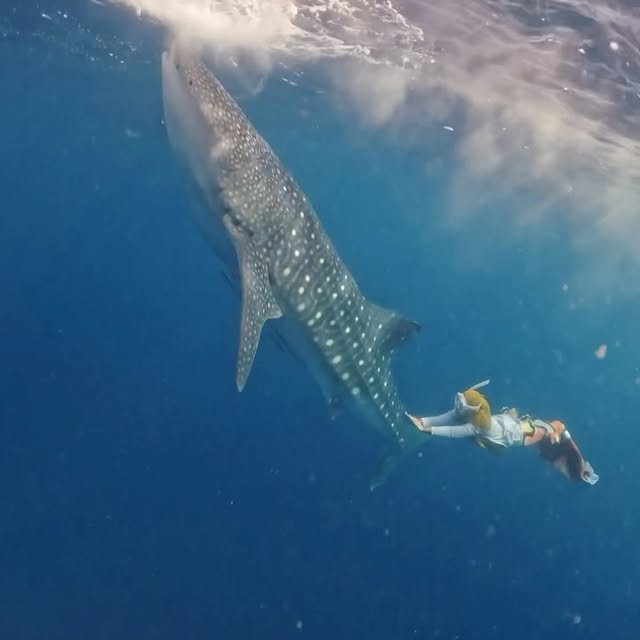 Post by riaricis1795